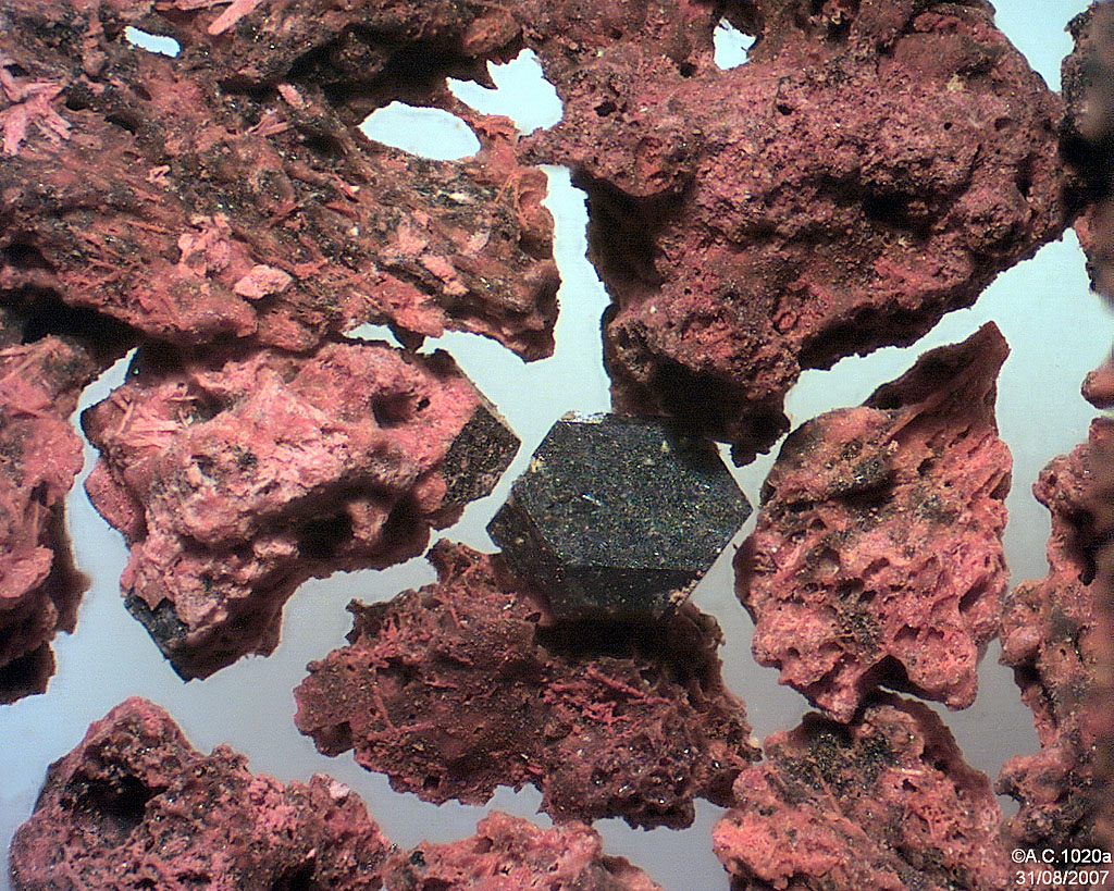 Cap-Vert - Fogo - Bord du crat�re de l'�ruption de 1995