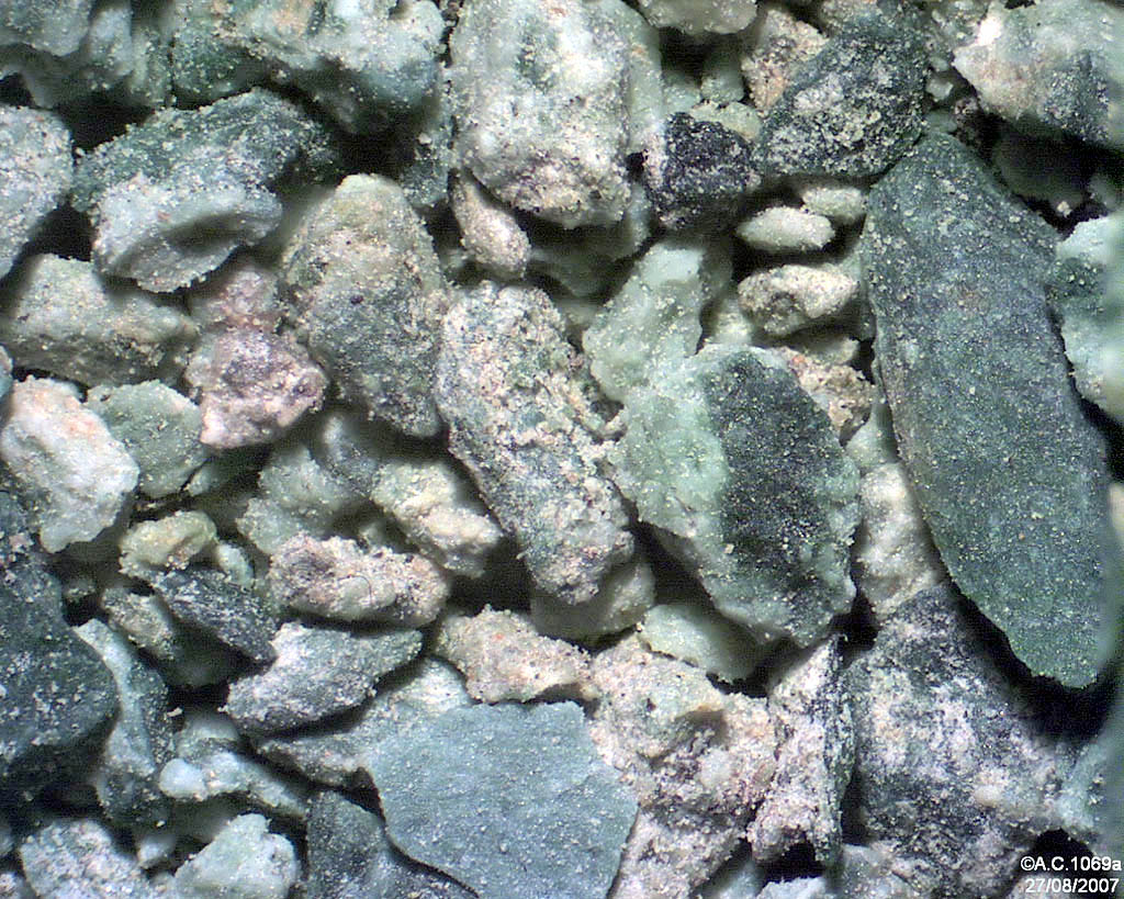 France - Var - Massif de l'Esterel, rte forest. de la Louve (Cendres volc. 250 M an.)