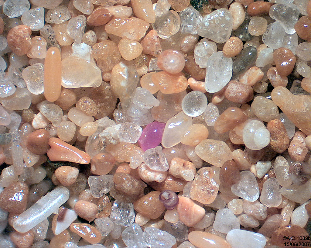 Australie - Port Campbell - Douze Ap�tres