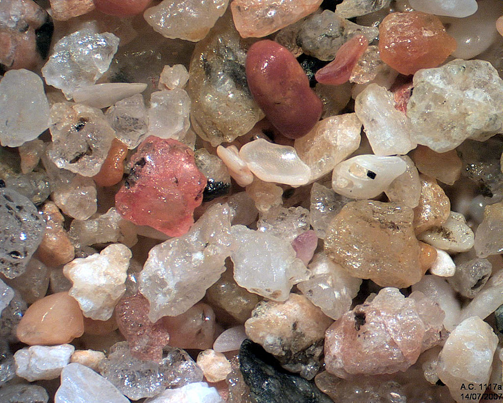 Mexique - Puerto Angel - Zipolite