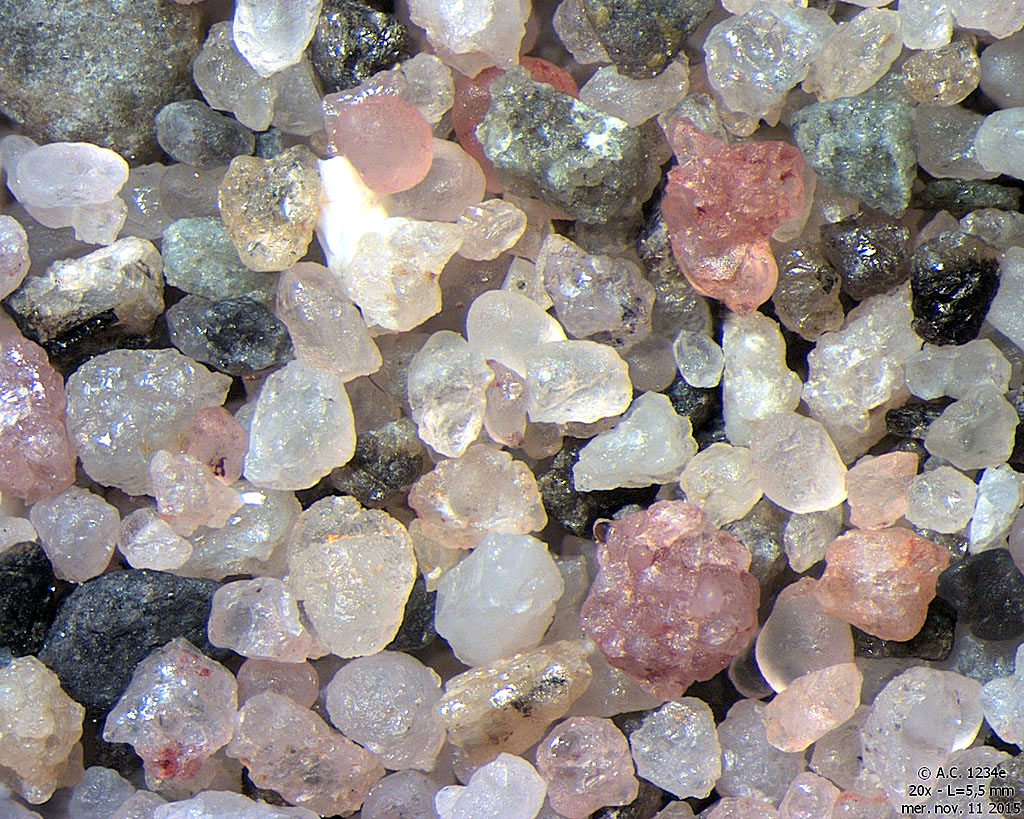 Iles Svalbard & Jan Mayen - Nordaustlandet - Gustav V Land - �le de Lagoya