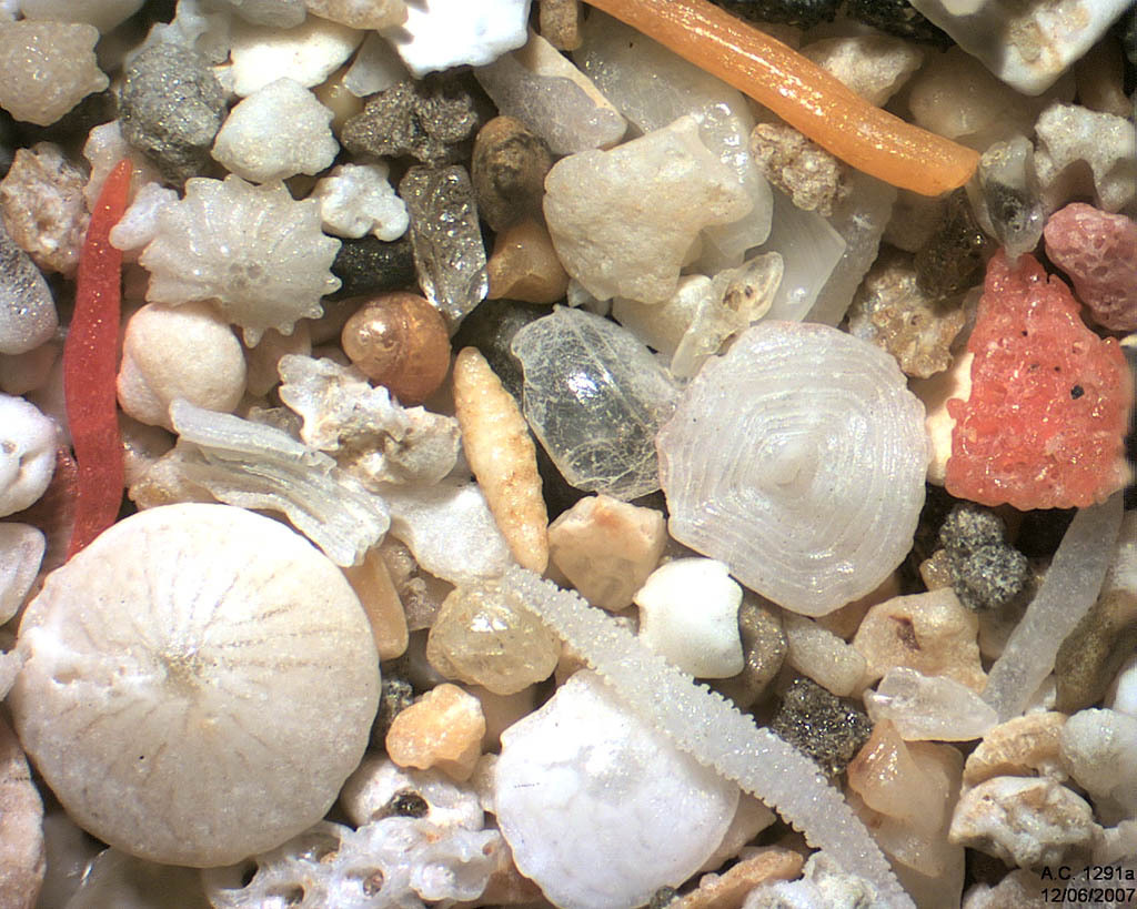 Indon�sie - Bali - Sanur - Le sable en entier