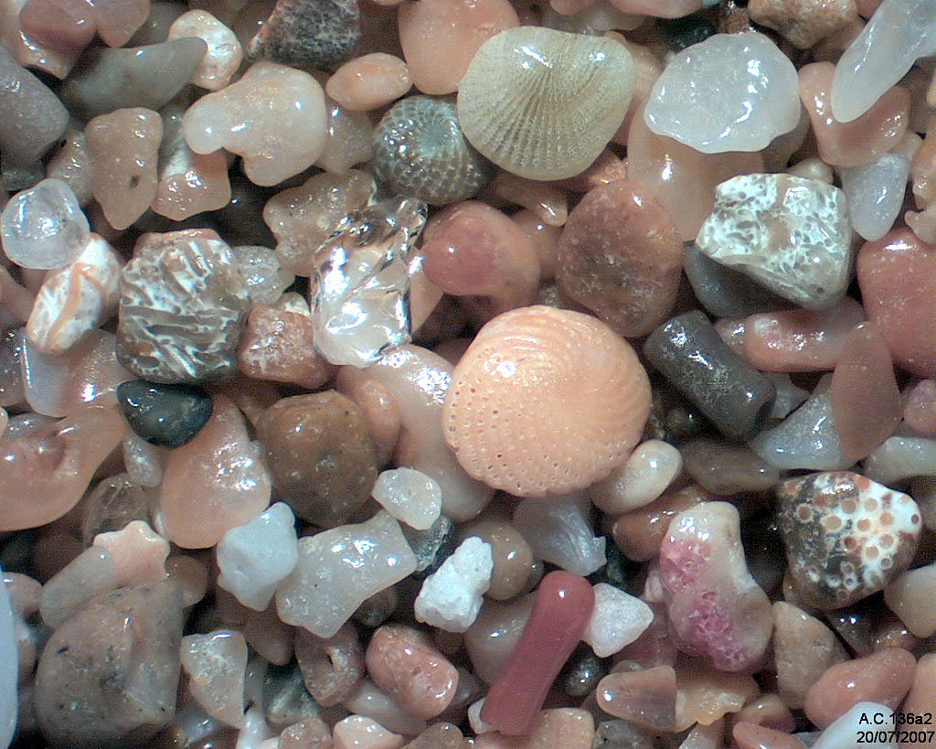 Guadeloupe - Basse Terre - Deshaies - Grande Anse