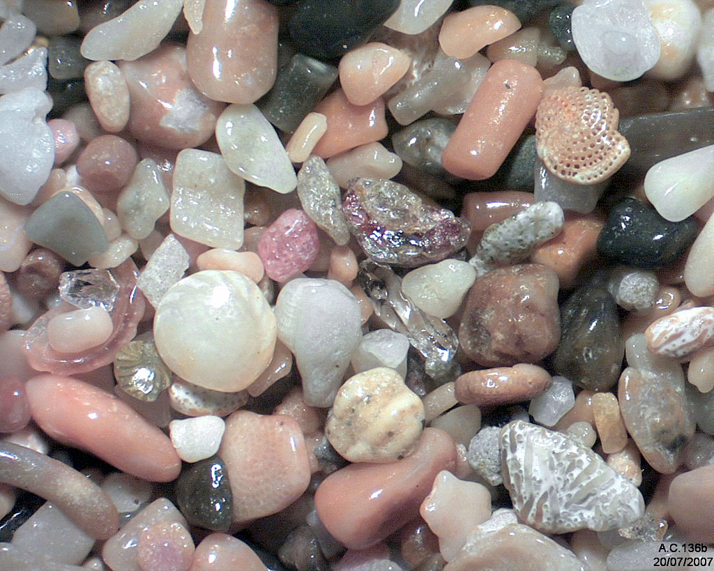 Guadeloupe - Basse Terre - Deshaies - Grande Anse