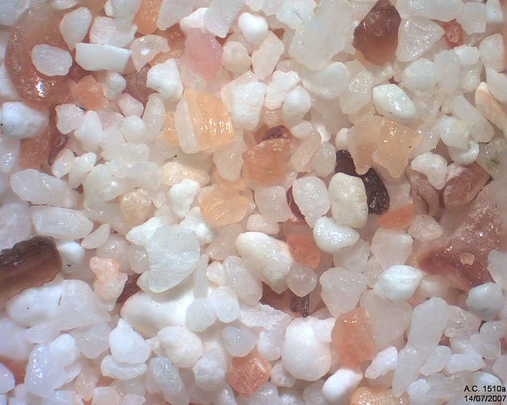 Ile Clipperton (Oc�an Pacifique)