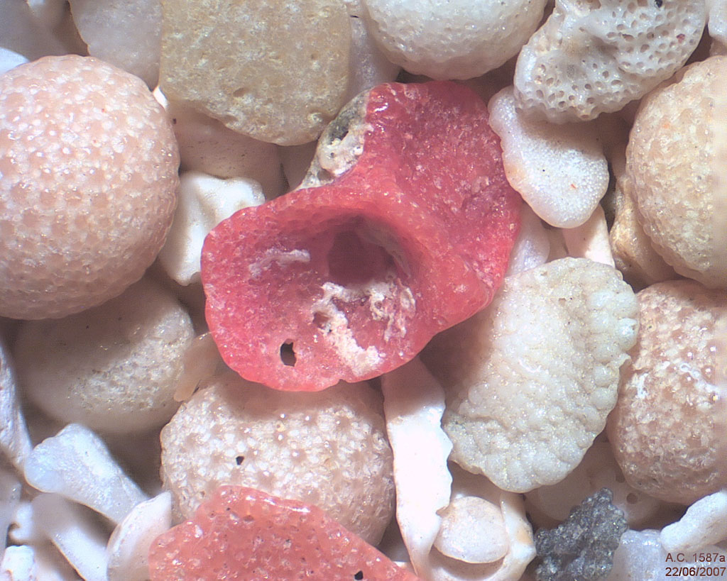 Indon�sie - Bali - Nusa Dua - Bualu