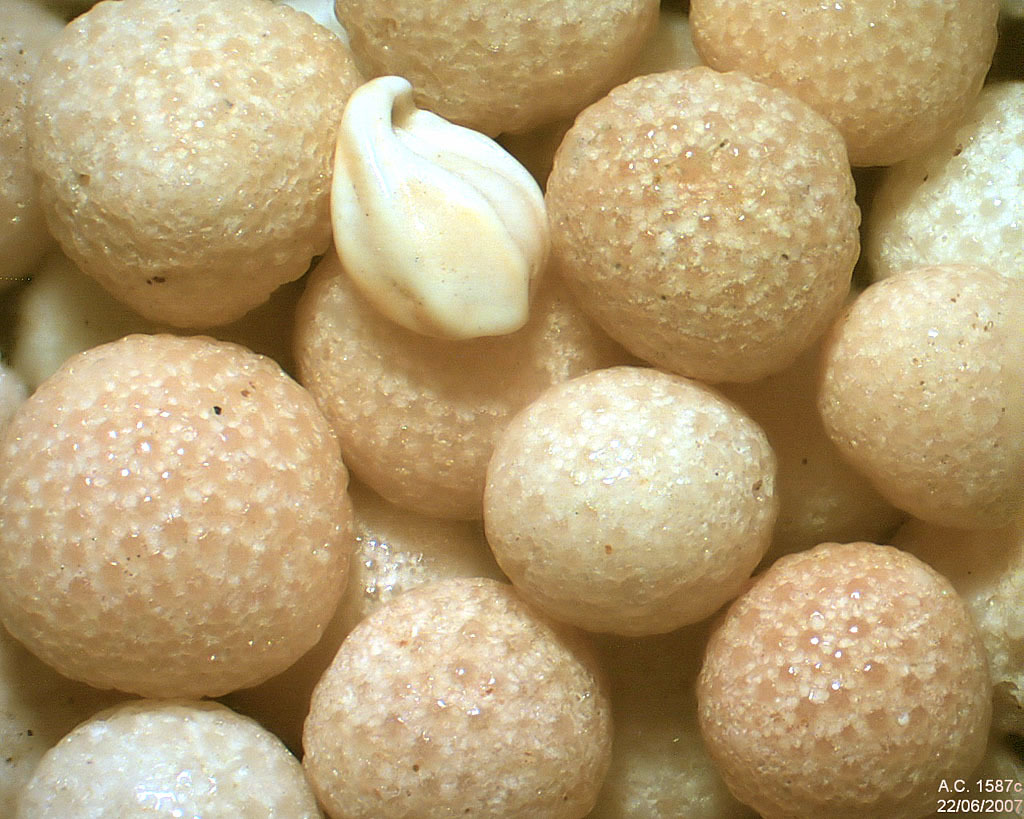 Indon�sie - Bali - Nusa Dua - Bualu