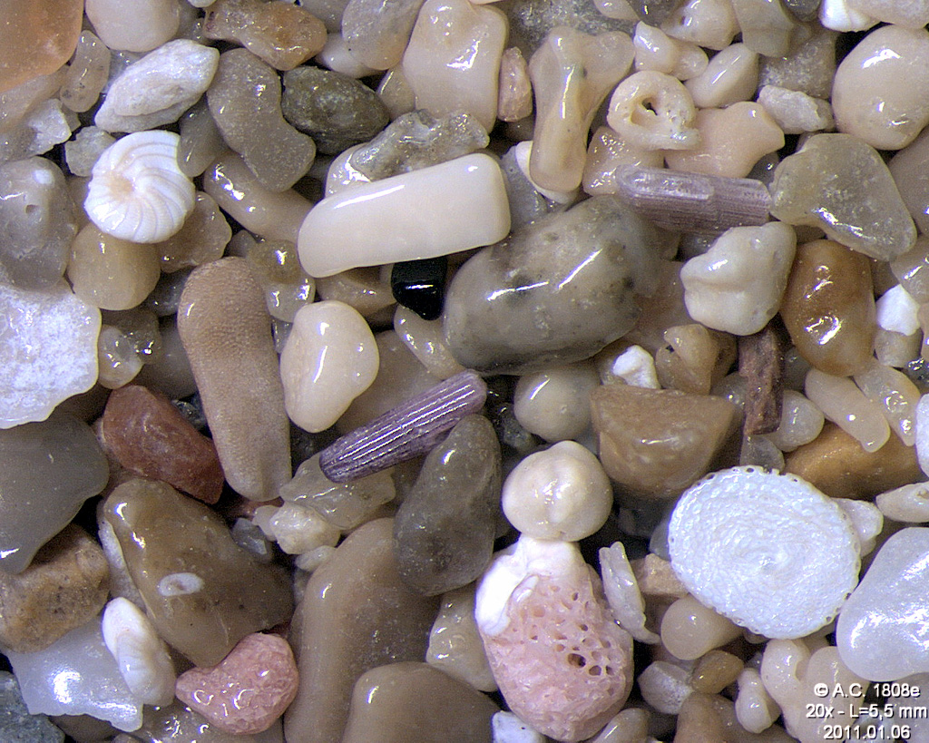 Gr�ce - Ile de Cr�te - Falasarna