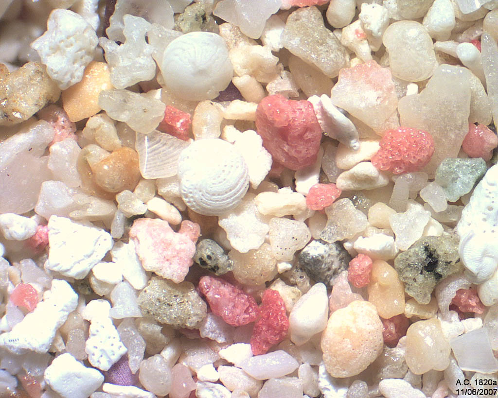 Bermudes - Cast Island