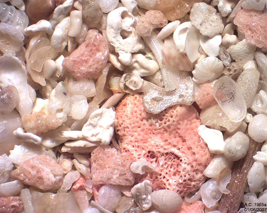 Nauru (Micron�sie) Anibare Bay