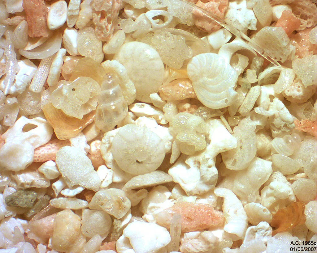 Nauru (Micron�sie) Anibare Bay