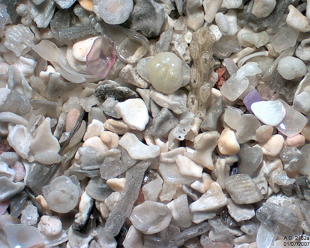 Ecosse - Highland - Strathy Beach