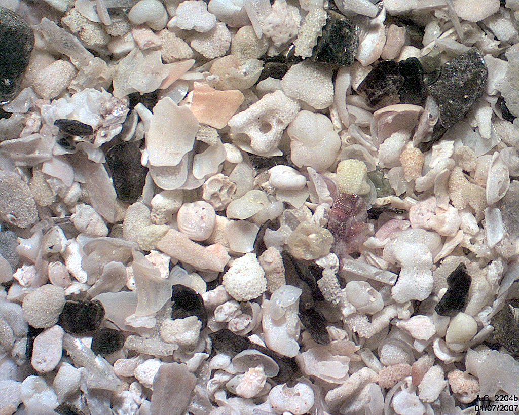 Ecosse - �le North Uist - Kirkibost