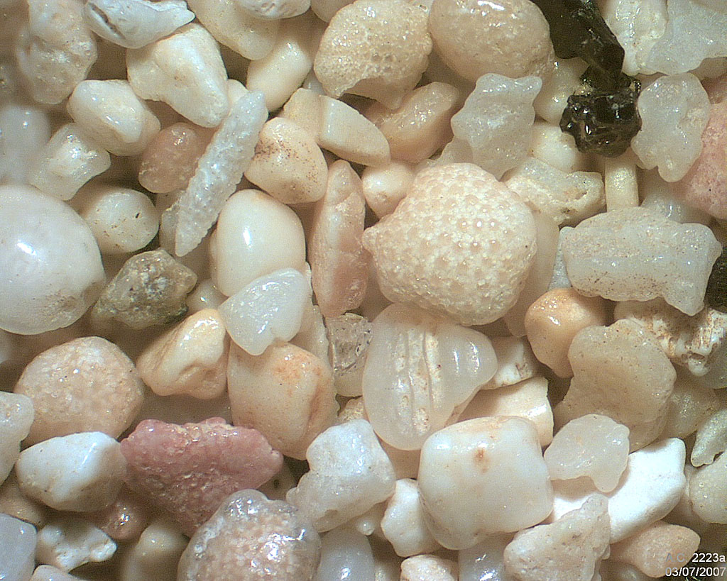 Vanuatu - �le Tanna - Port R�solution