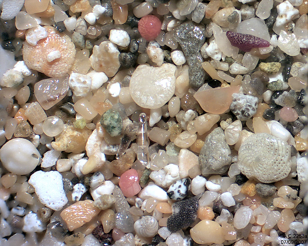 Antilles N�erlandaises - Saint Martin - Little Bay