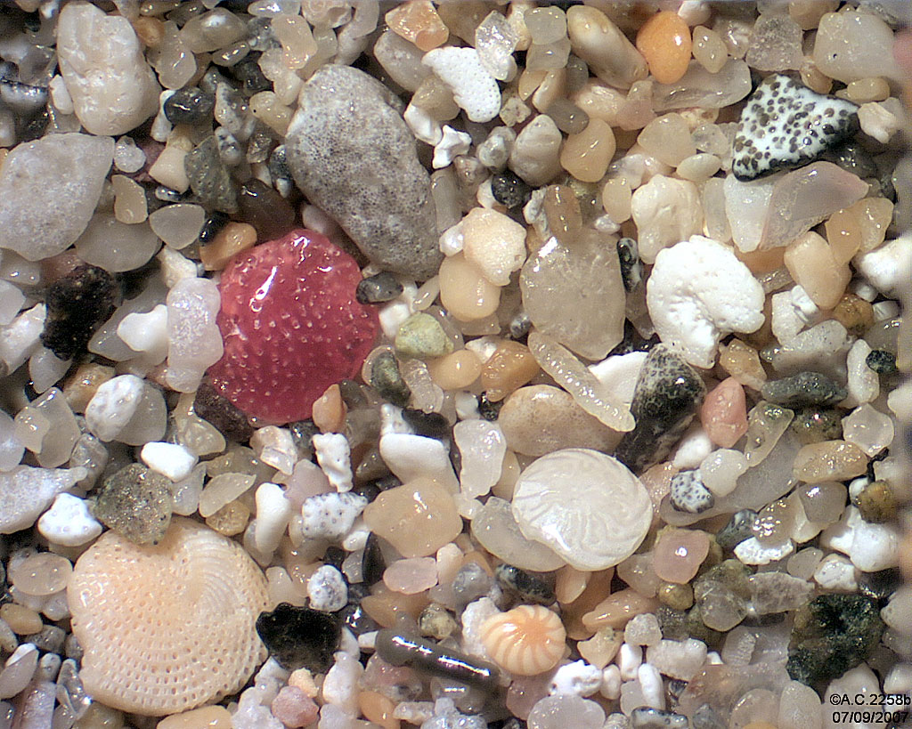 Antilles N�erlandaises - Saint Martin - Little Bay