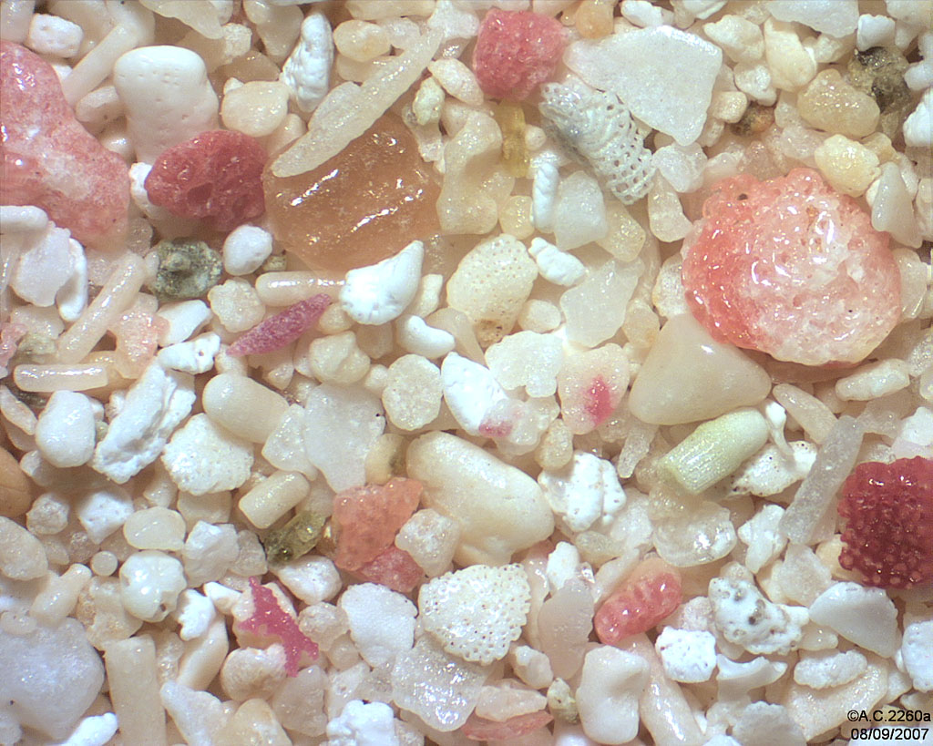 Antilles N�erlandaises - Saint Martin - Oyster Bay - Dawn Beach