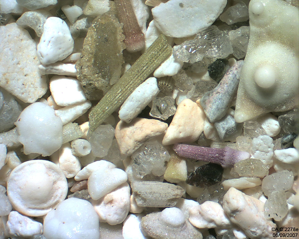 Norv�ge - Nordland - Skutvik