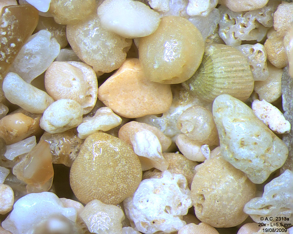 Philippines - Archipel Visayas - �le Luzon - Nasugbu