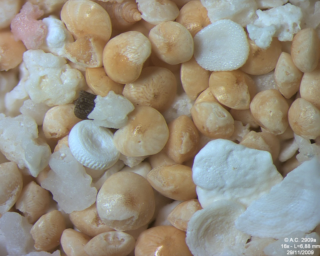 Polyn�sie Fran�aise - Tuamotu - Atoll Tikehau