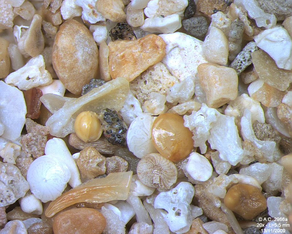 Indon�sie - Bali - Sanur - Plage H�tel Mercure