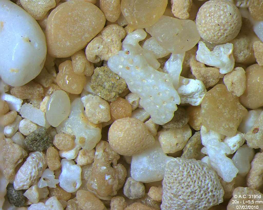 Timor Leste - Baukau Beach