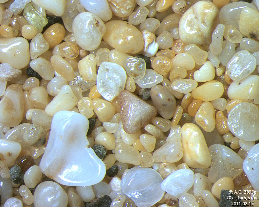 Hawaii - Ile de Lanai - Manele Bay