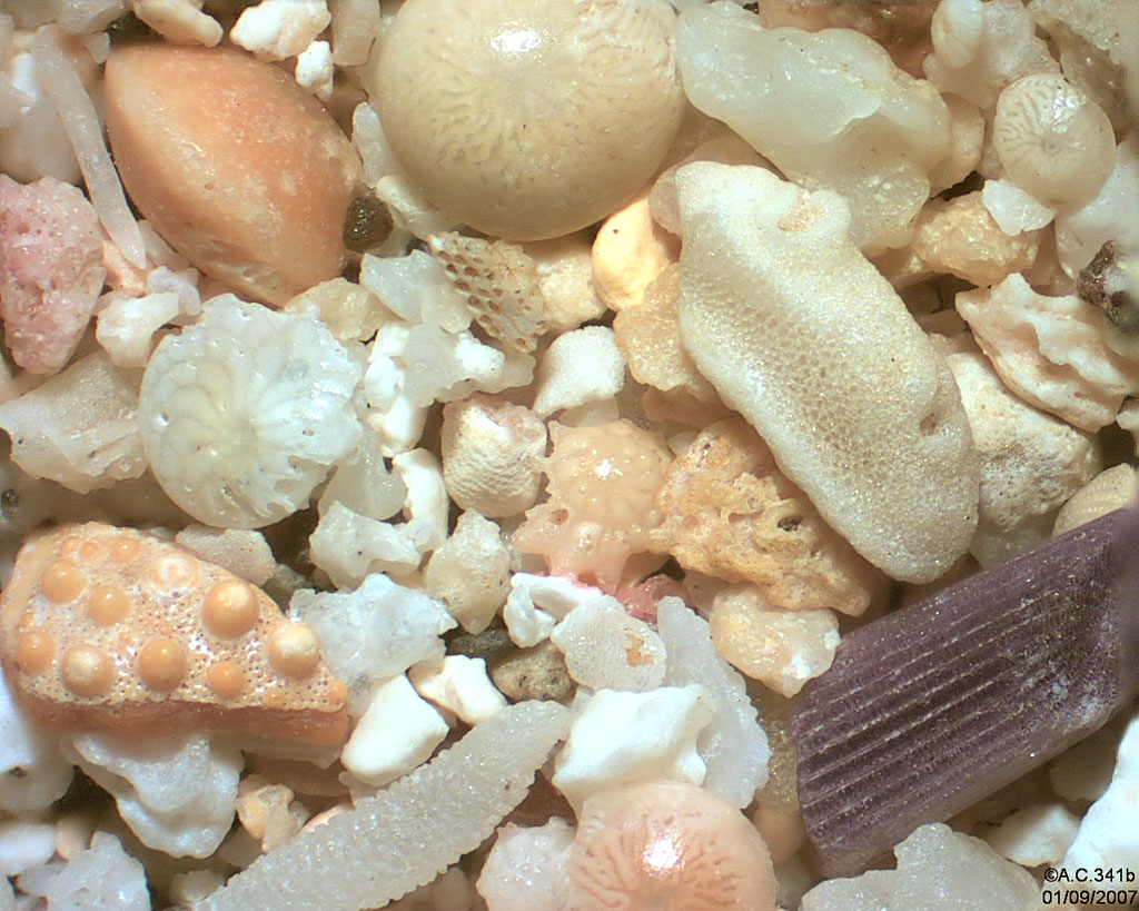 �le de La R�union - La Saline les Bains