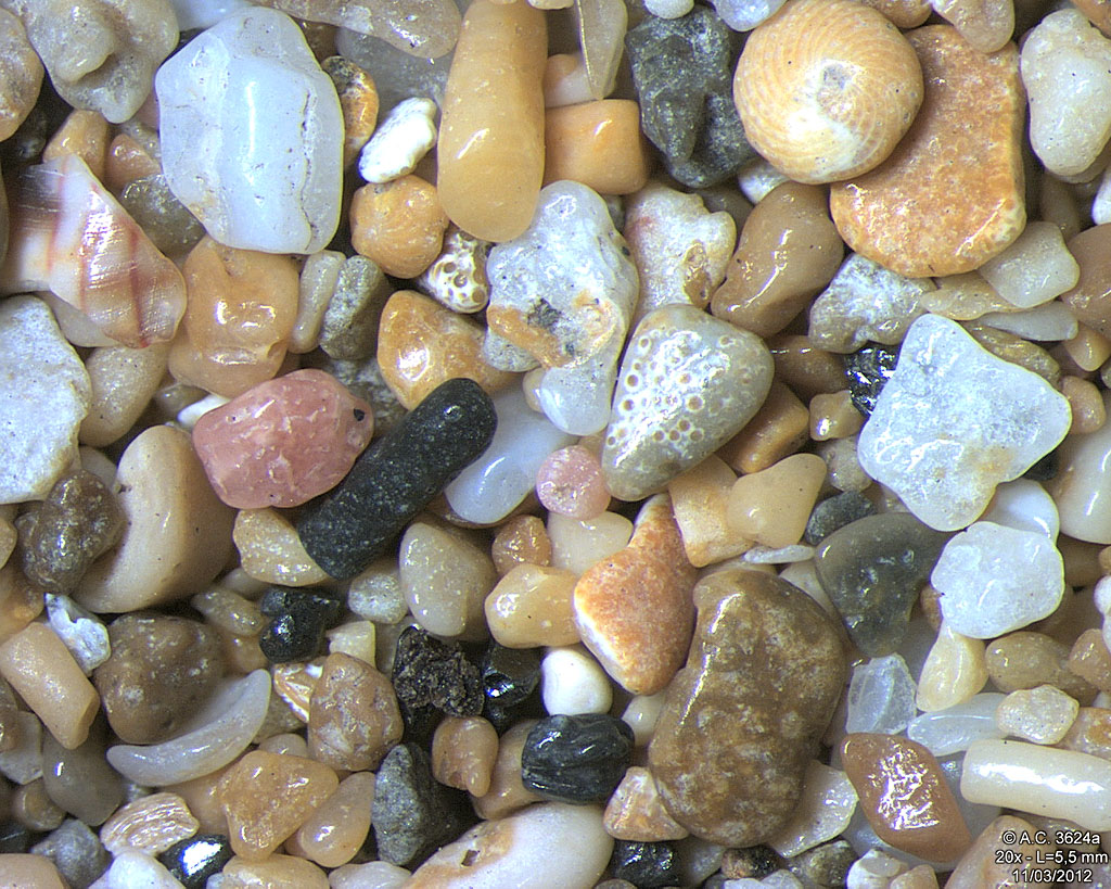 Guadeloupe - Basse Terre - Deshaies - Plage de la Perle