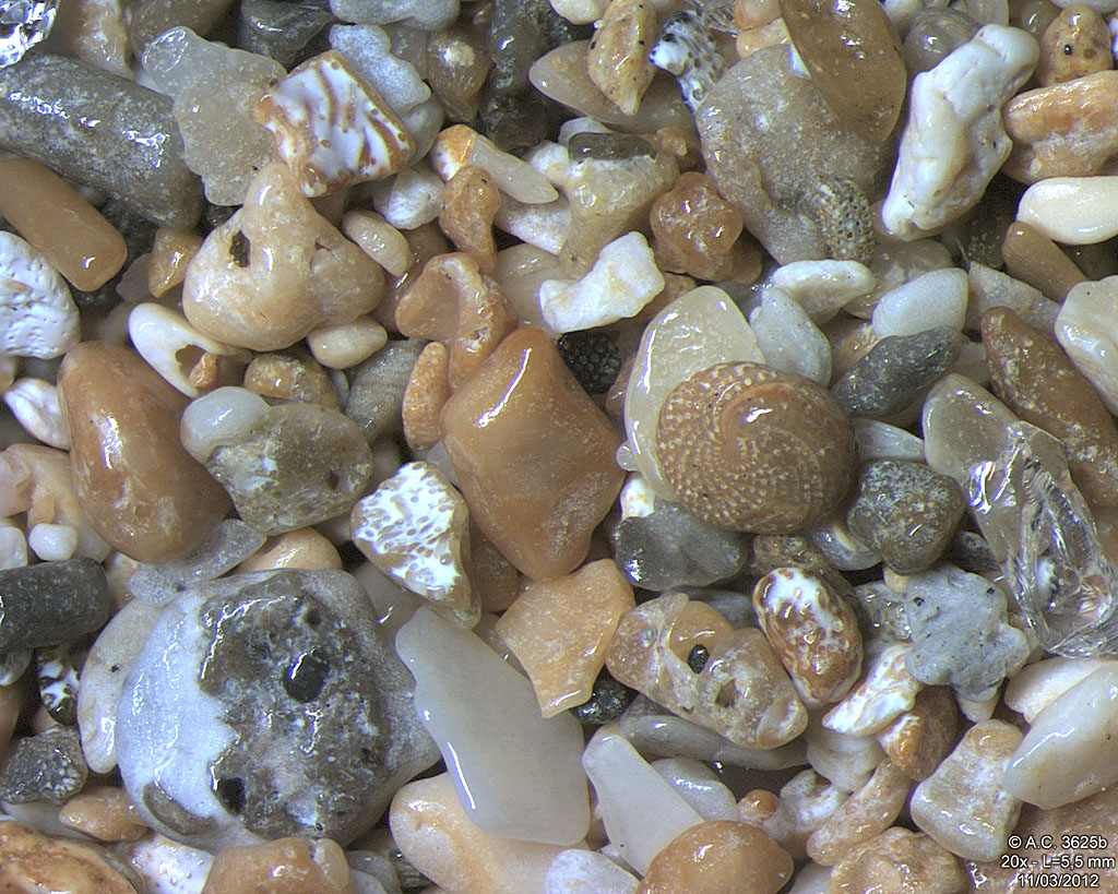 Guadeloupe - Basse Terre - Sainte Rose - Plage de Clugny