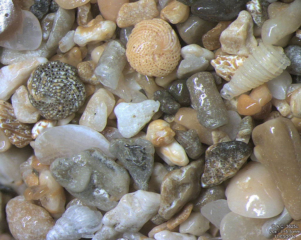 Guadeloupe - Basse Terre - Sainte Rose - Plage de Clugny