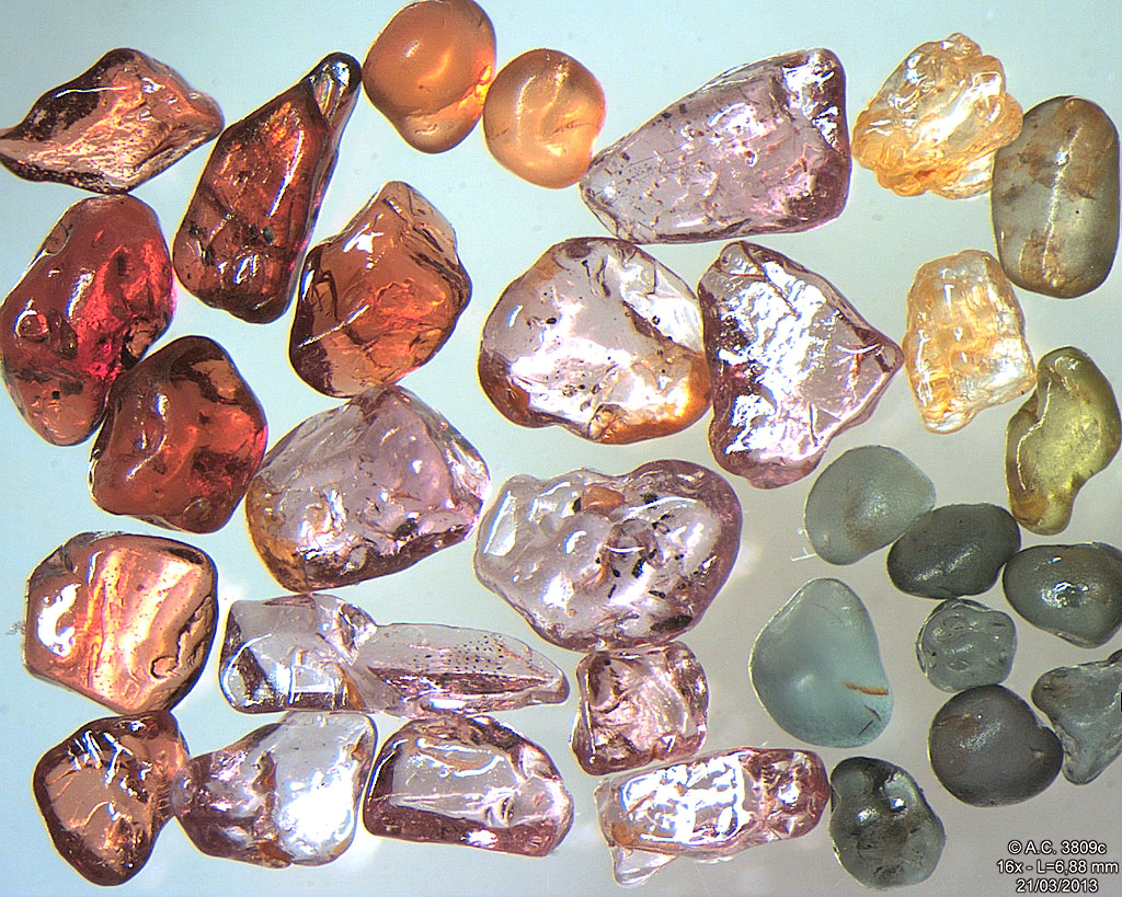 Sri Lanka - Hambantota - Grains tri�s