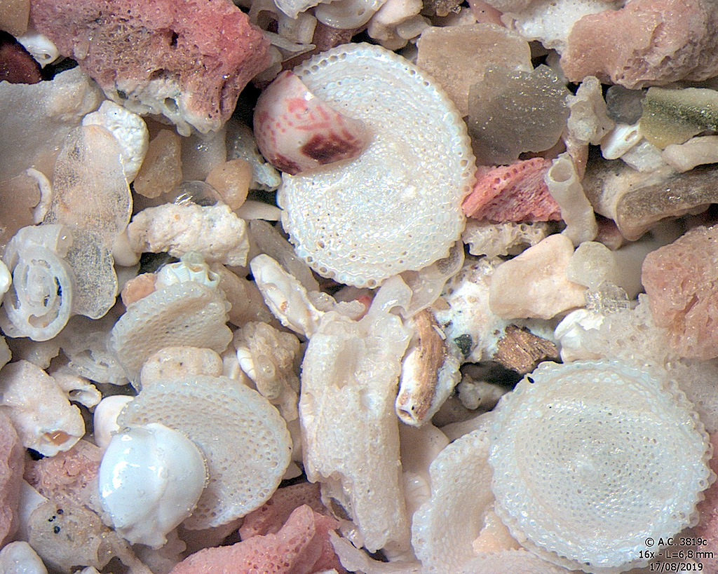 Gr�ce - Rhodes - Isthme de Prassonissi