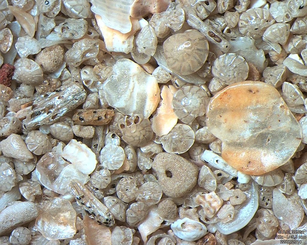 Inde - Bombay - Jogeshwari Beach