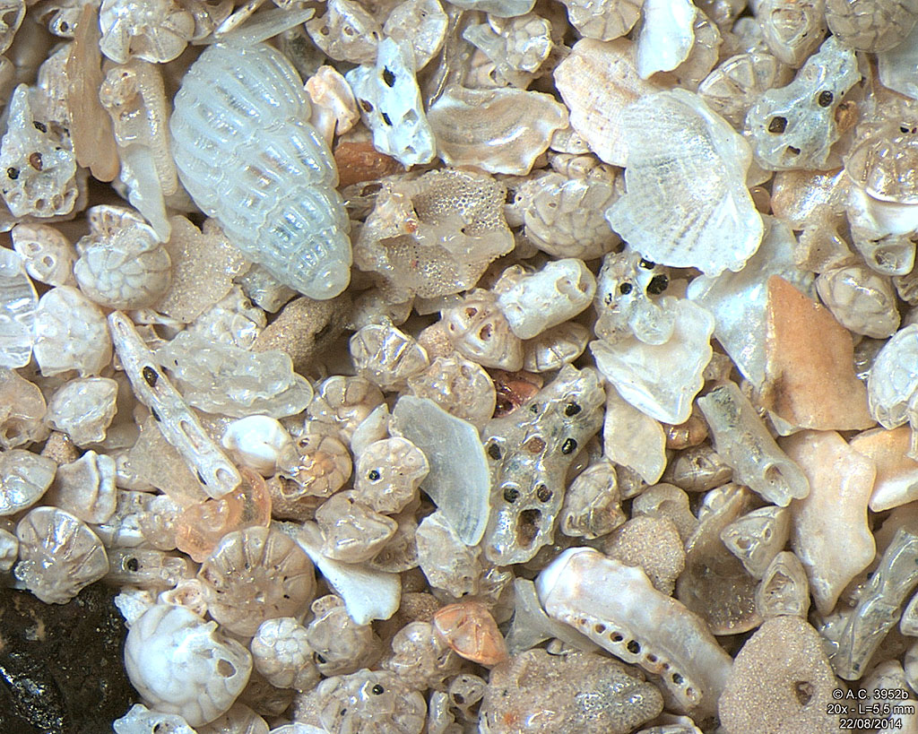 Inde - Bombay - Jogeshwari Beach