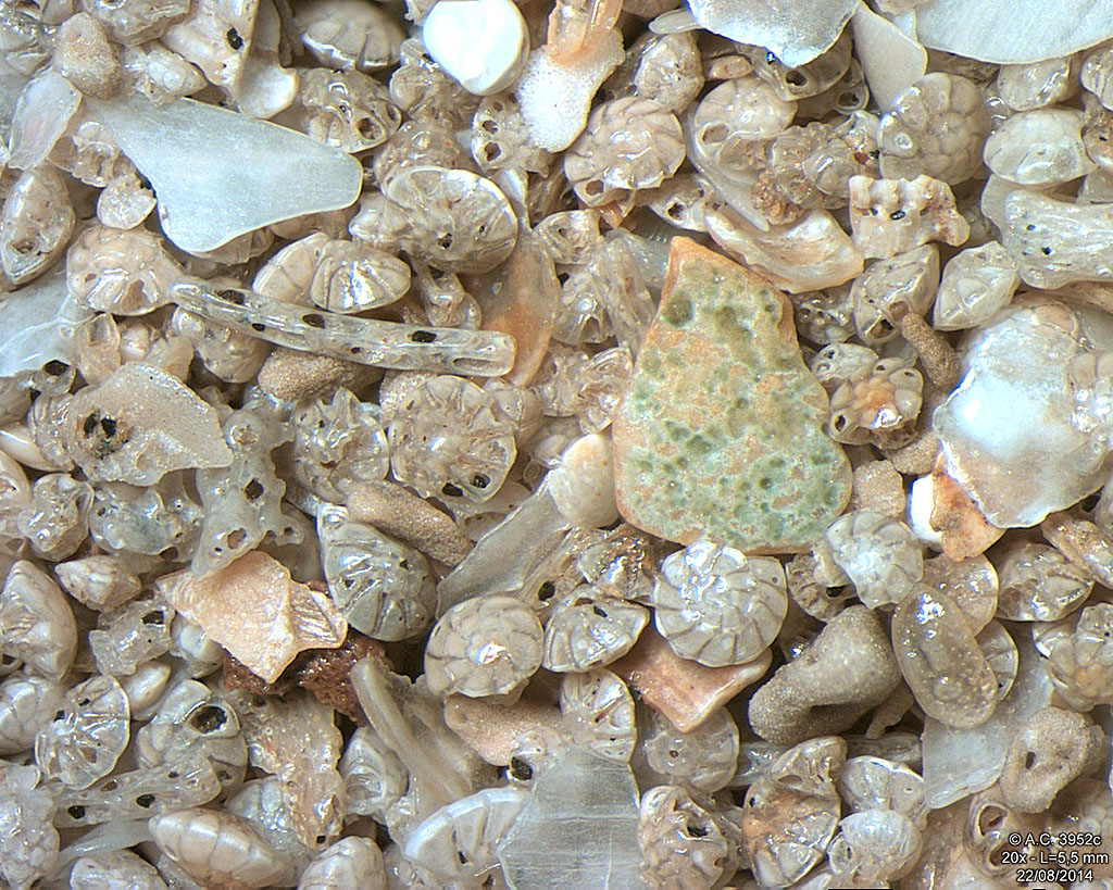 Inde - Bombay - Jogeshwari Beach