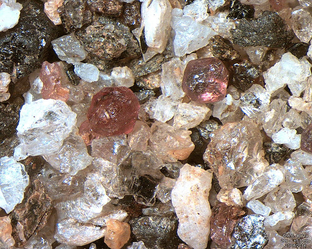 Bhoutan - Ugyen Chholing - Rivi�re Tang Chhu