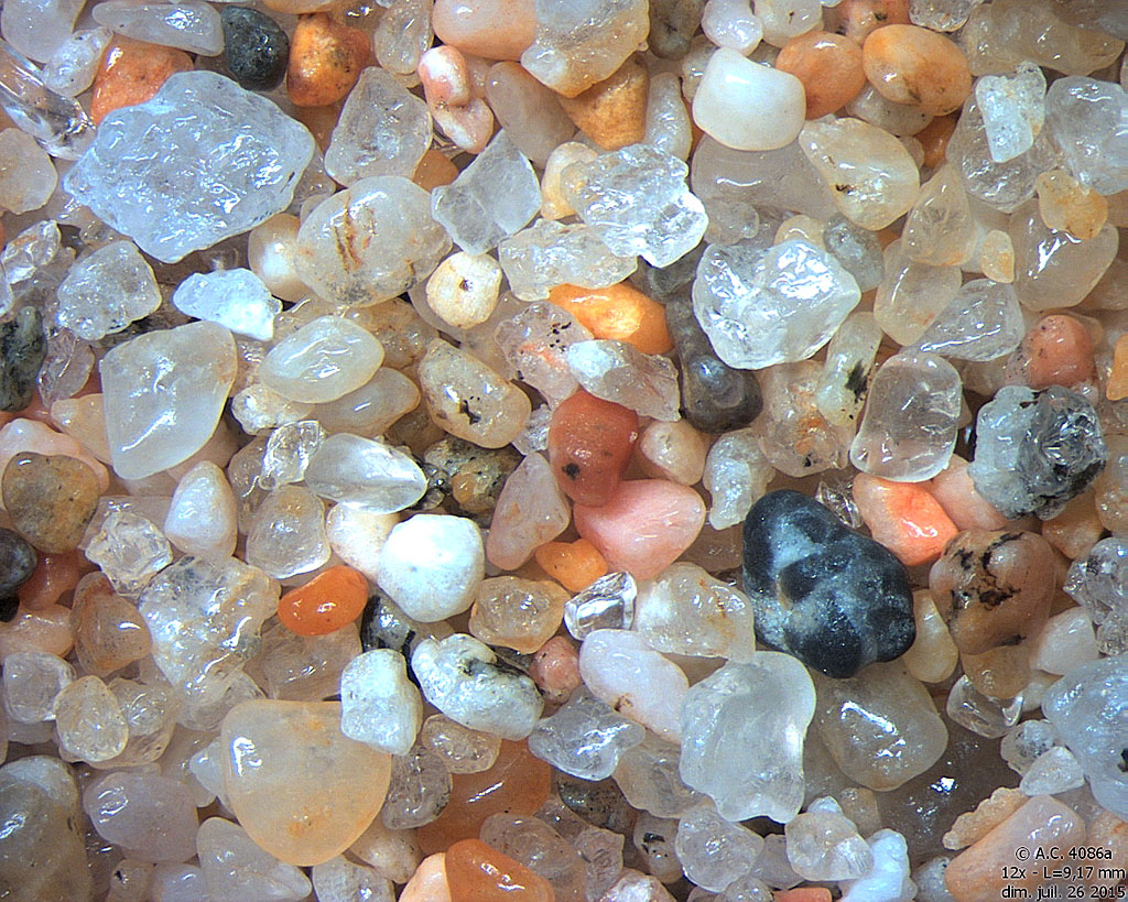 Mexique - Todo Santos - Playa La Poza