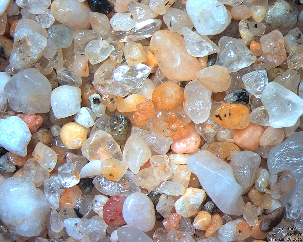 Mexique - Todo Santos - Playa La Poza