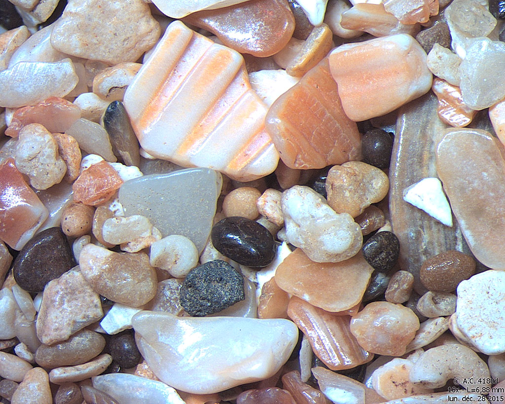 Russie - Crim�e - Kertch - Plage d'Archintsevo