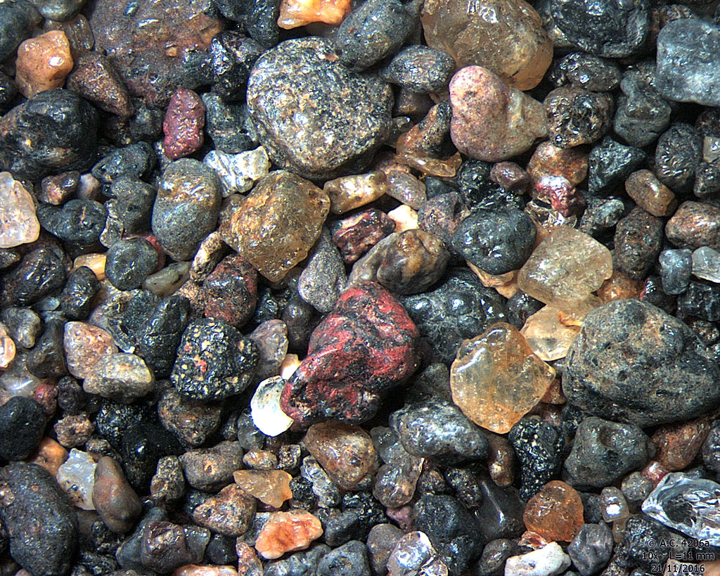 Guatemala - Monterrico