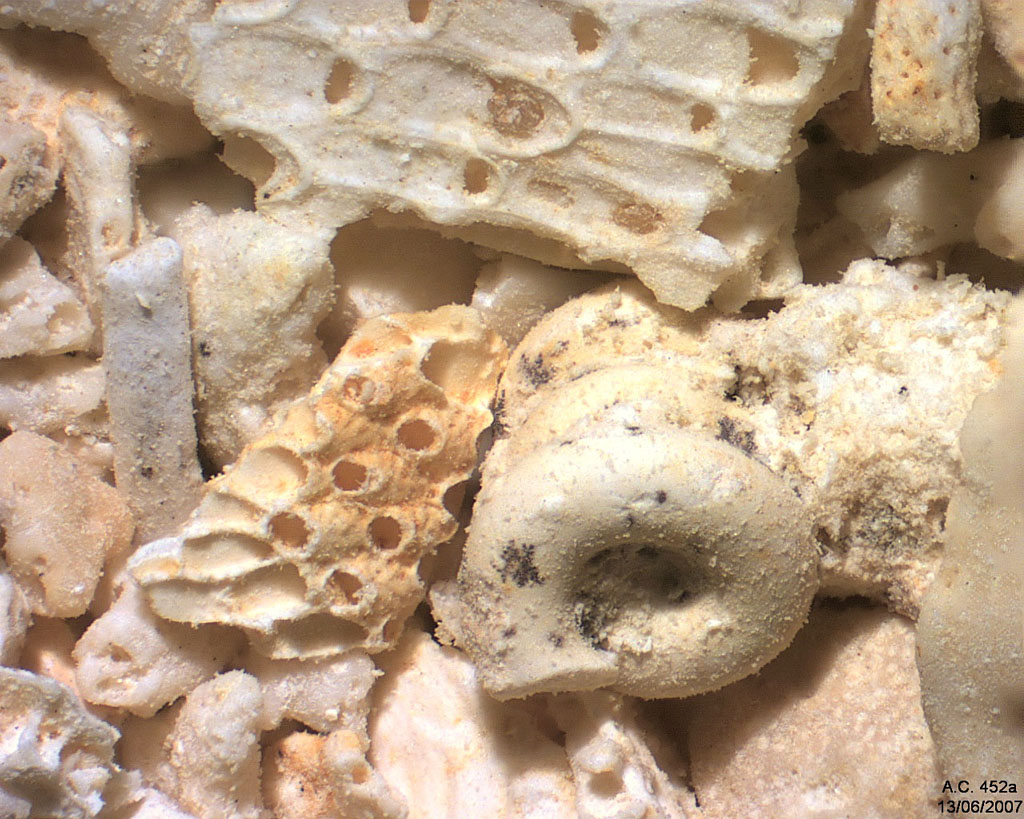 France - Indre et Loire - Savign� sur Lathan