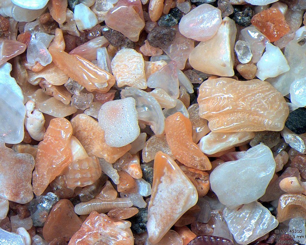 Maroc - Plage de Bouznika