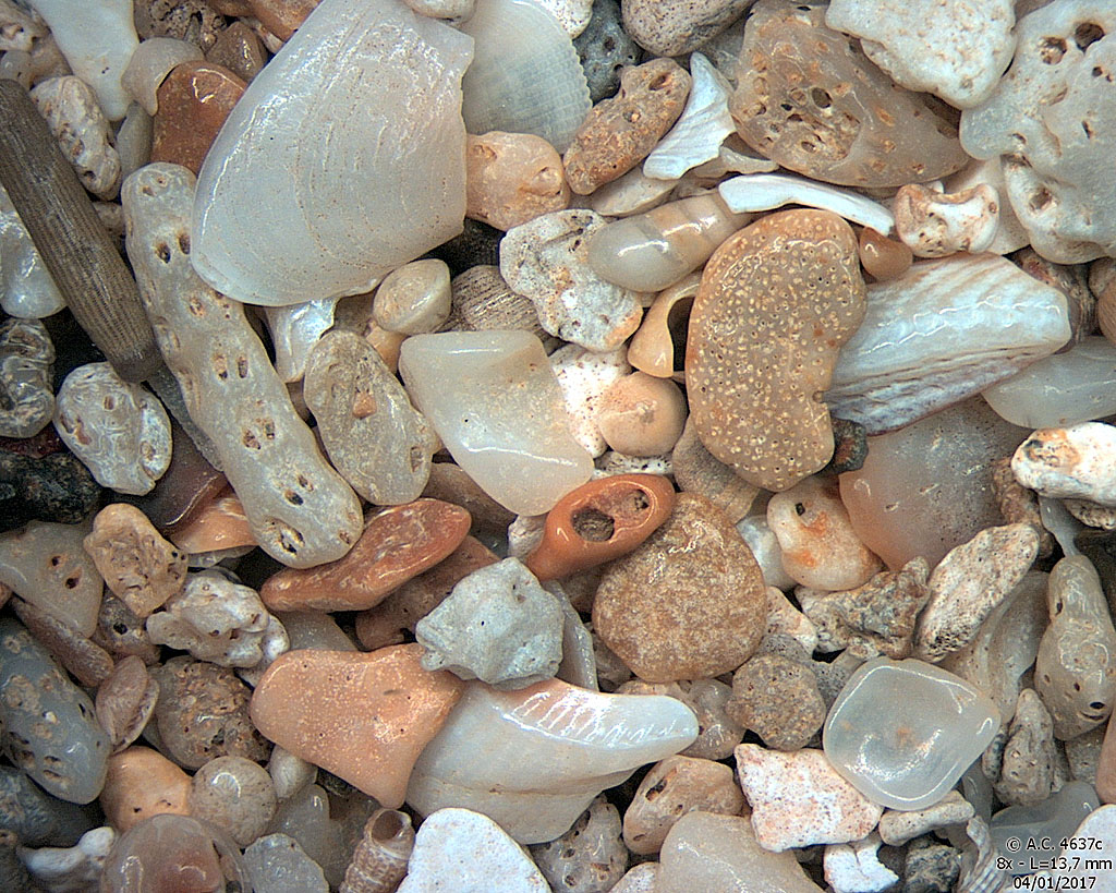 Madagascar - Nosy Be - Madirokeli