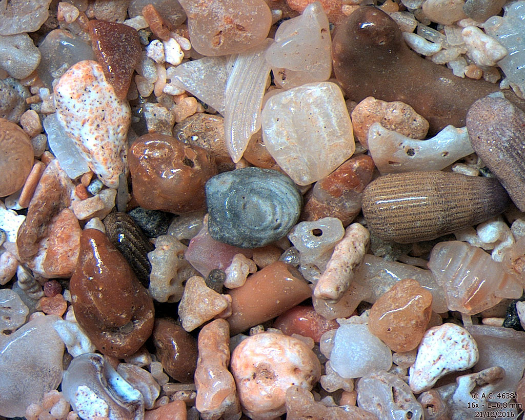 Madagascar - Nosy Be - Ambaro