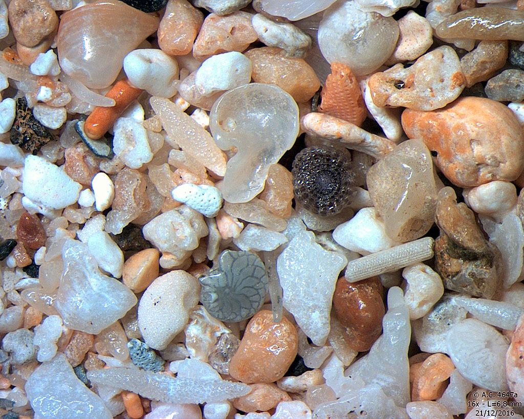 Madagascar - Nosy Be - Plage d'Ambatoloaka