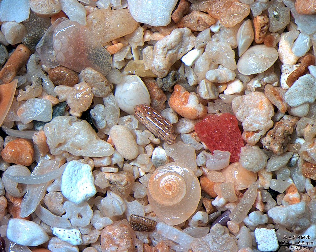 Madagascar - Nosy Be - Plage d'Ambatoloaka