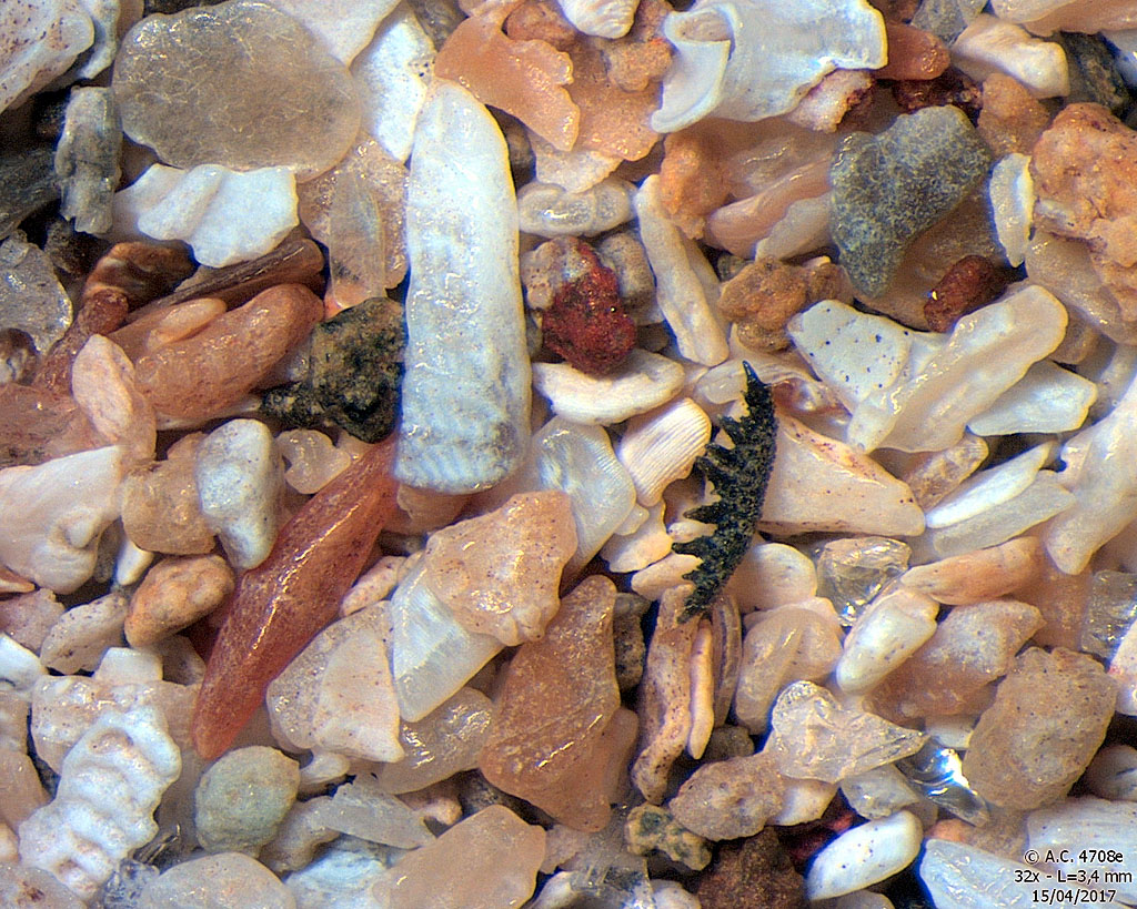 Panama - Panama City - Calle 8a Este