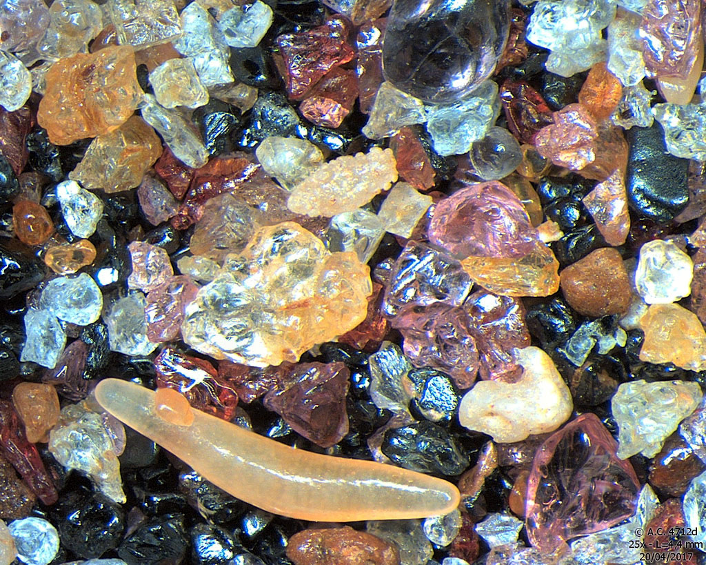 Sri Lanka - Kalutara