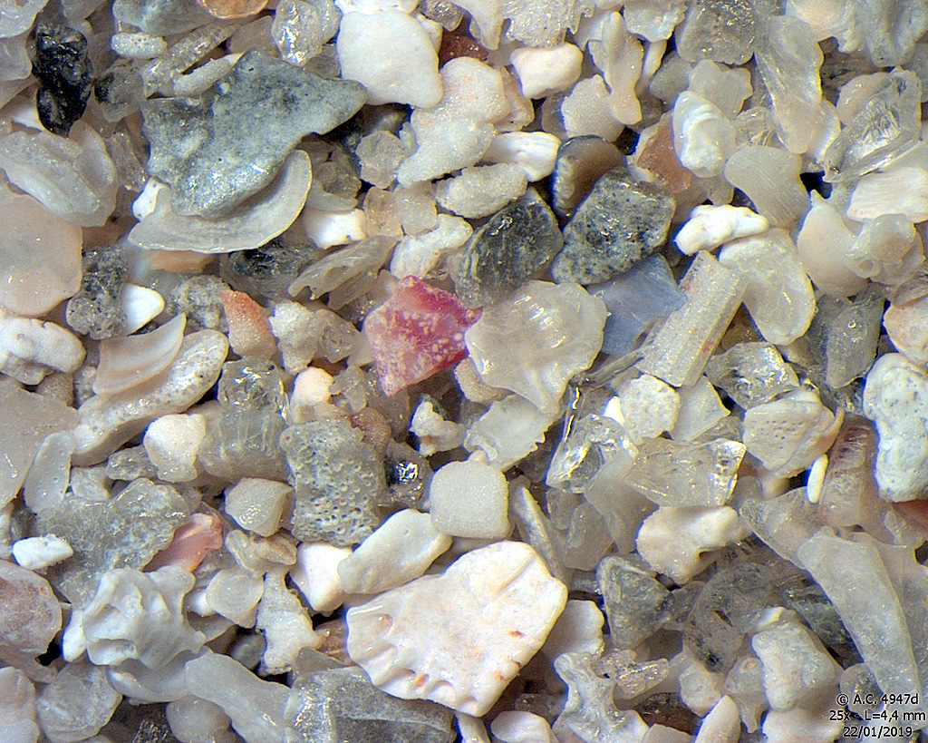 Ecosse - �le de Benbecula - Plage de Nunton